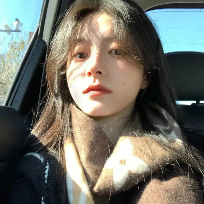 对战美洲狮